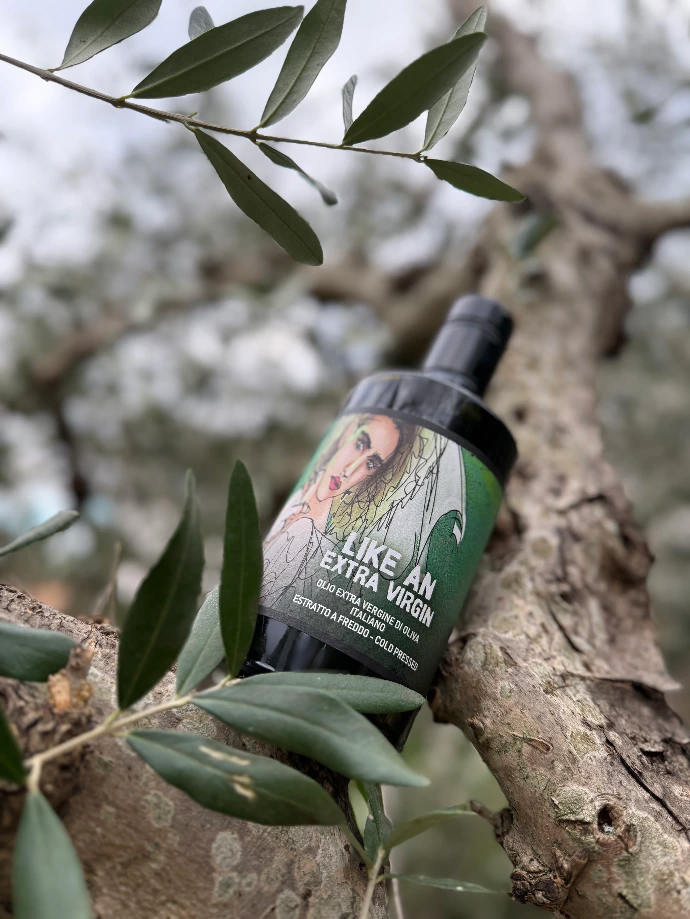 Olive Oil Montepulciano