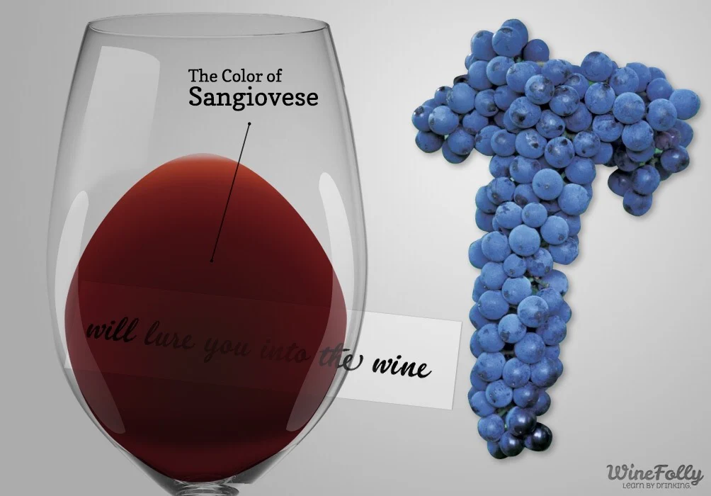Sangiovese Characteristics