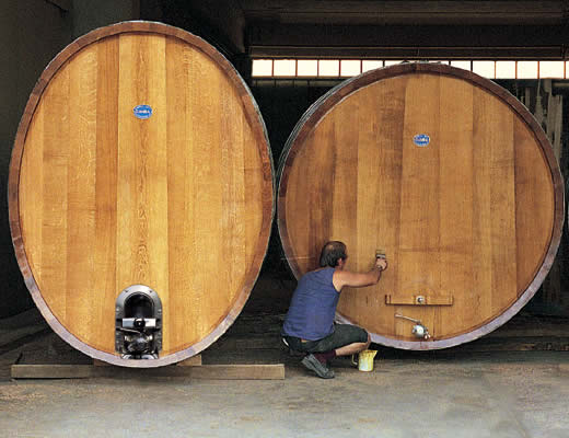 Italian Red Wines